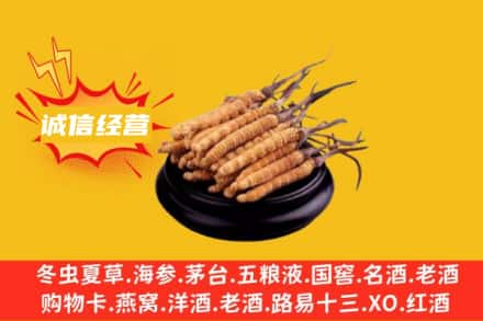大庆市杜尔伯特回收冬虫夏草